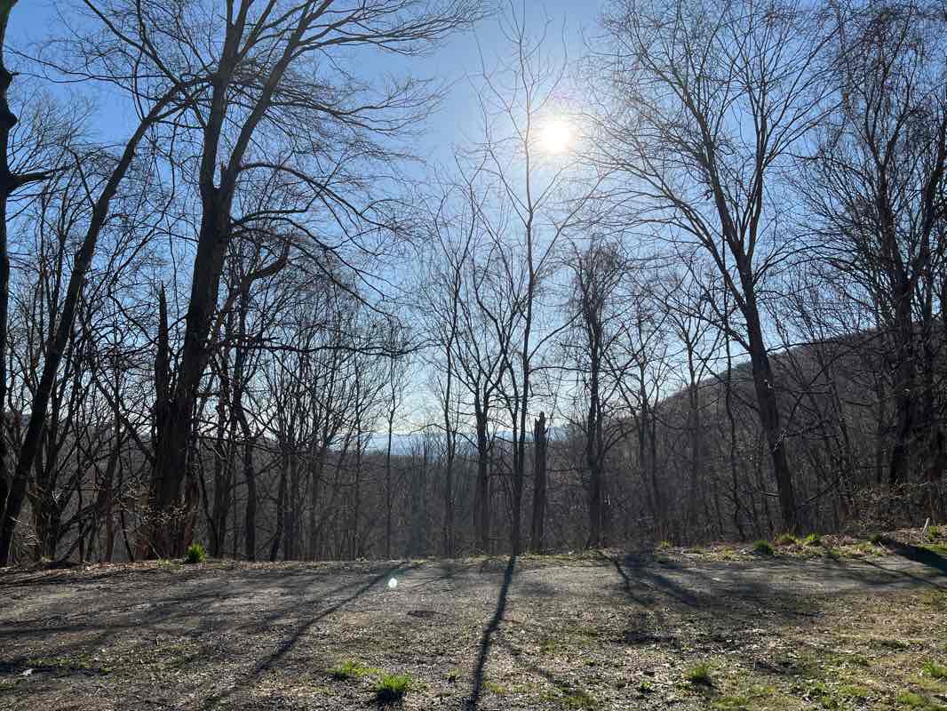 walking near me in State Game Lands Number 198 in winter