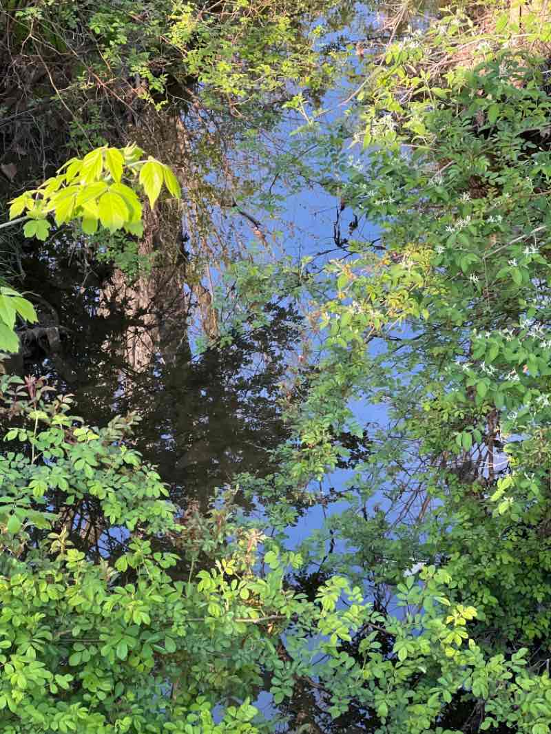 walking near me in Dell Delight Legion Park in winter