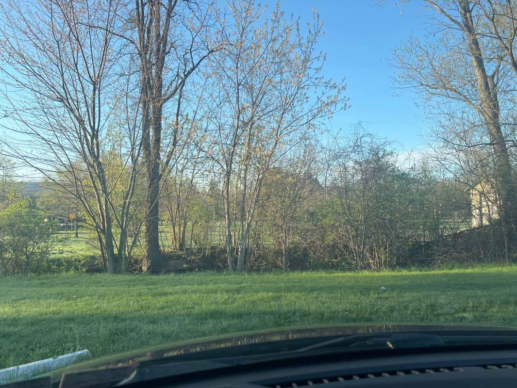 walking near me in Dell Delight Legion Park in spring