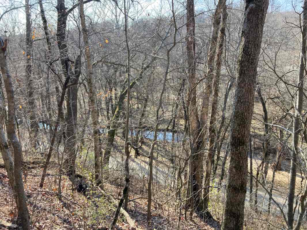 walking near me in Coler MTB Park in winter