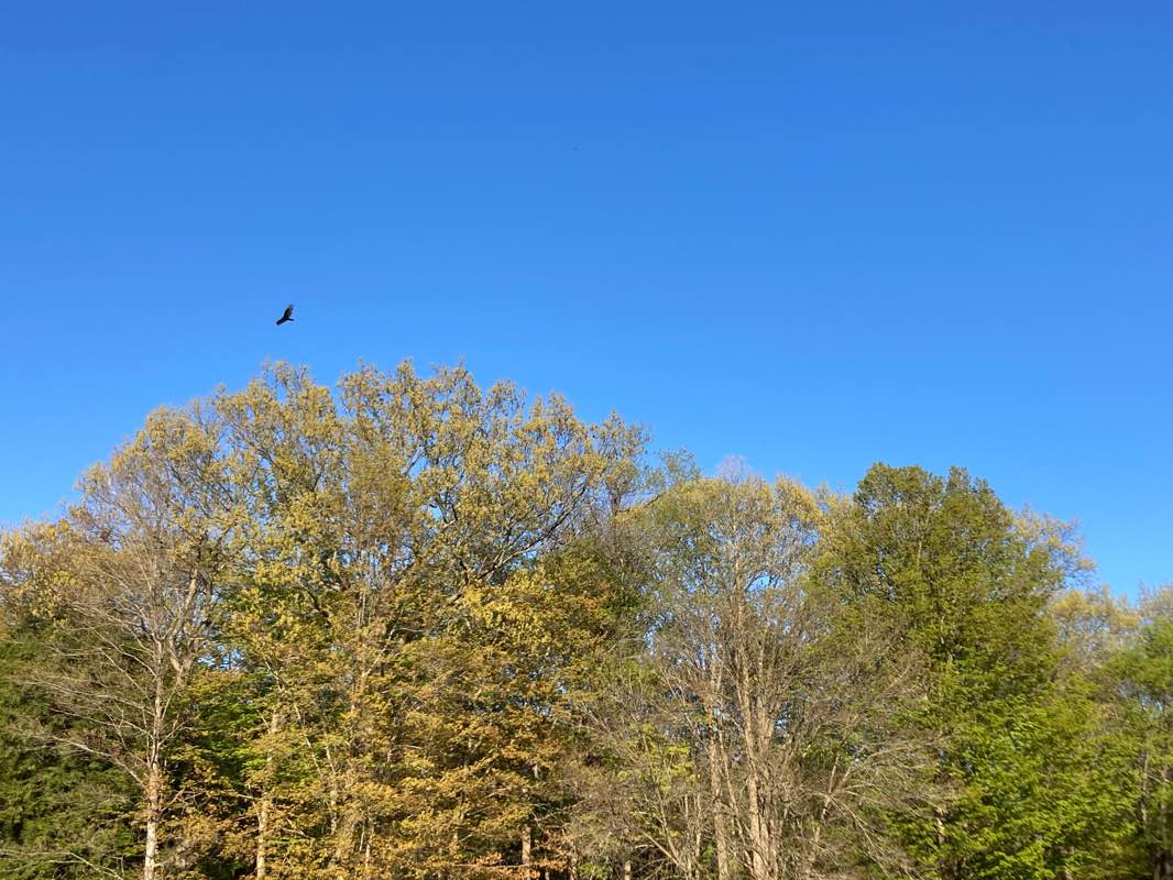 walking near me in Long Point on Lake Chatauqua State Park in winter