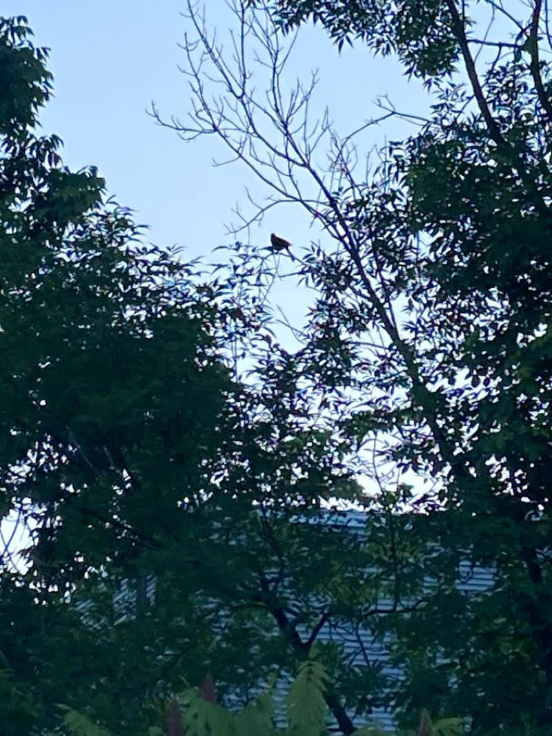 walking near me in Fort Washington State Park in winter