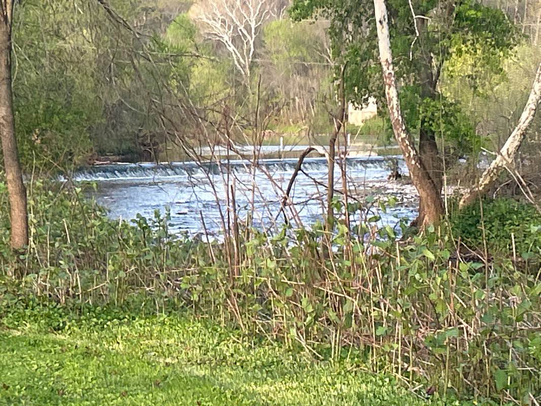 walking near me in Lower Perkiomen Valley Park in spring