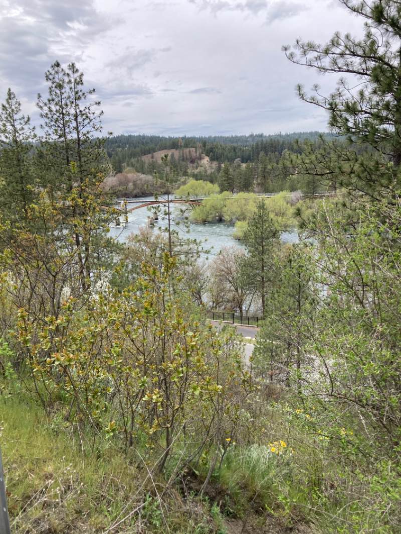 walking near me in High Bridge Park in winter