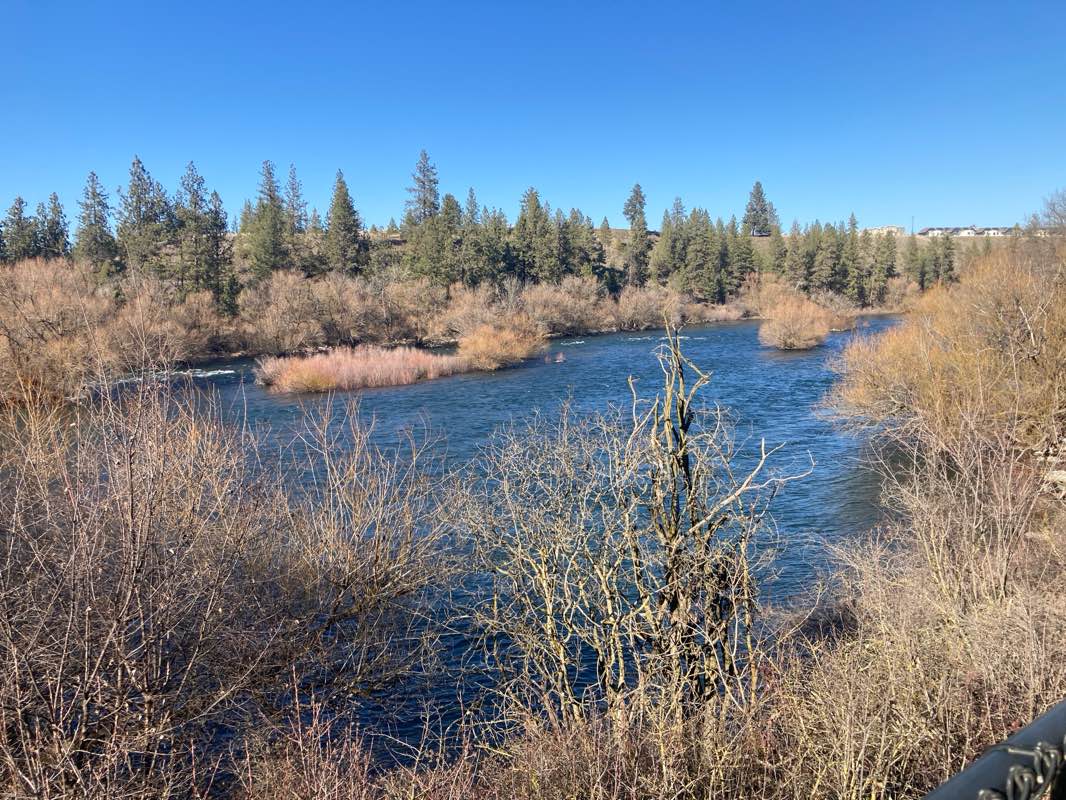 walking near me in People's Park in spring