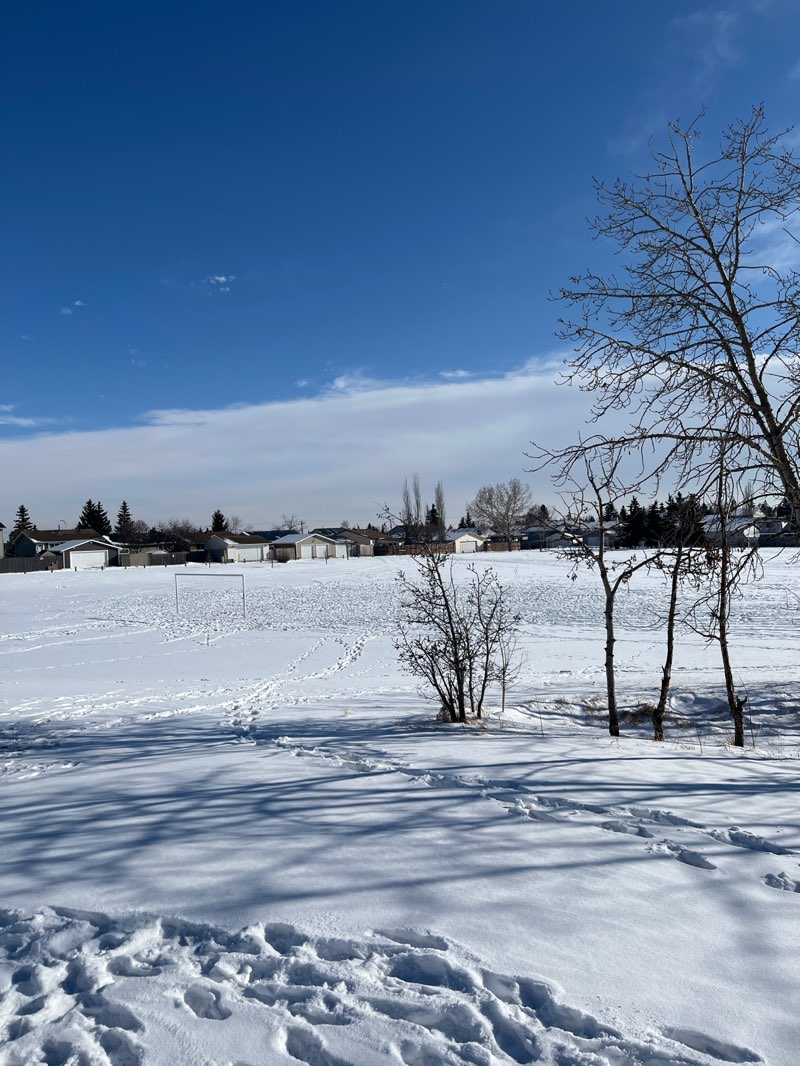 walking near me in Falshire Park in winter