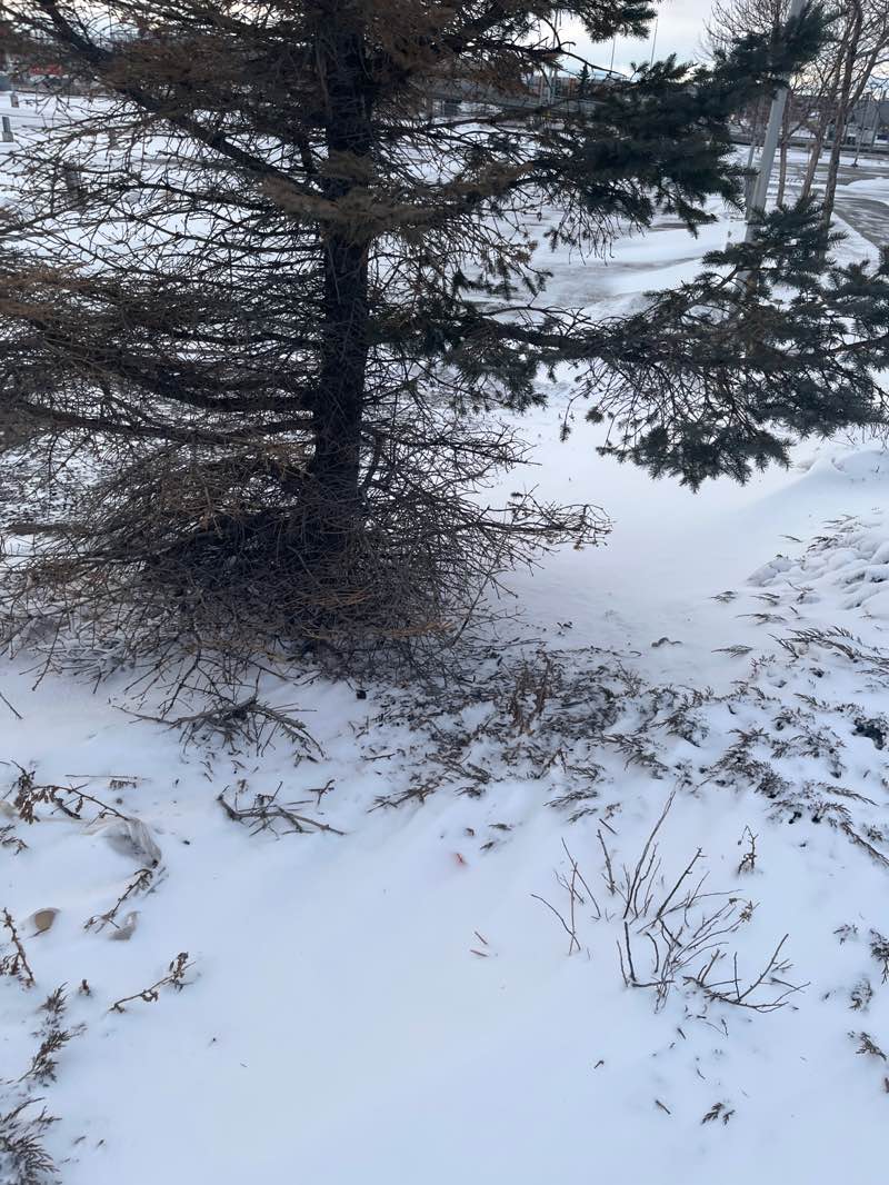 walking near me in Prairie Winds Park in spring
