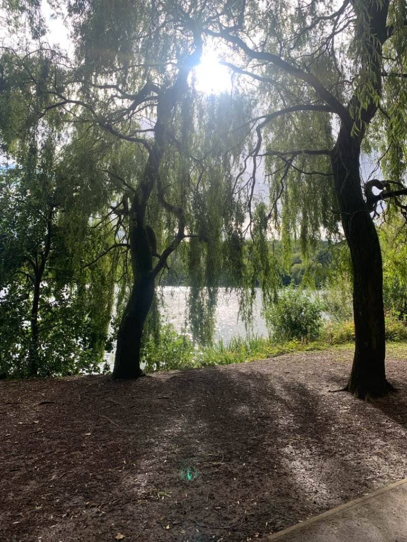 walking near me in Westport Lake Park in autumn