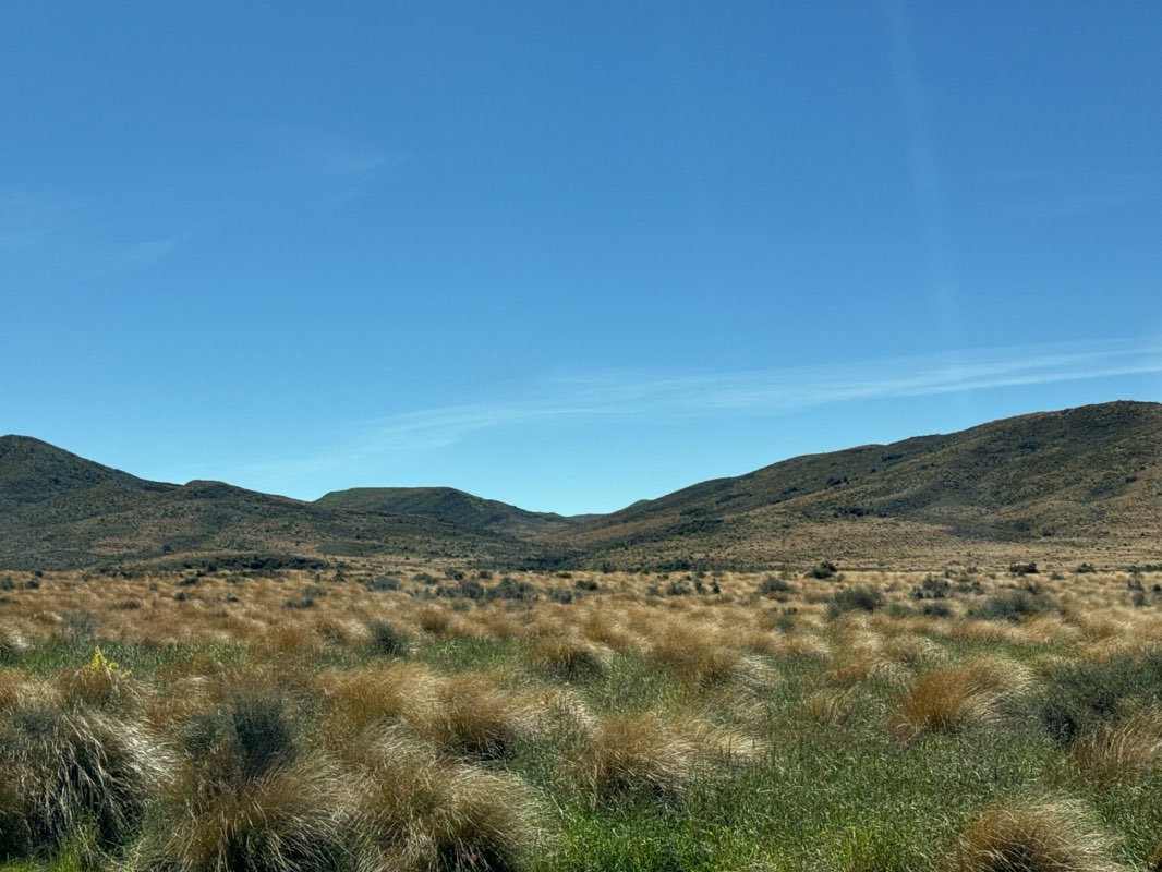 walking near me in Te Anau Gardens in summer