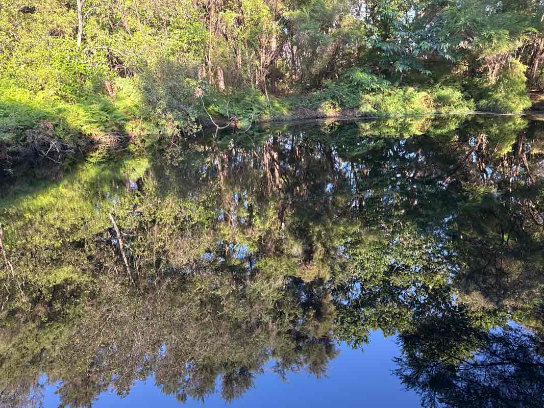 walking near me in Government Gardens in summer