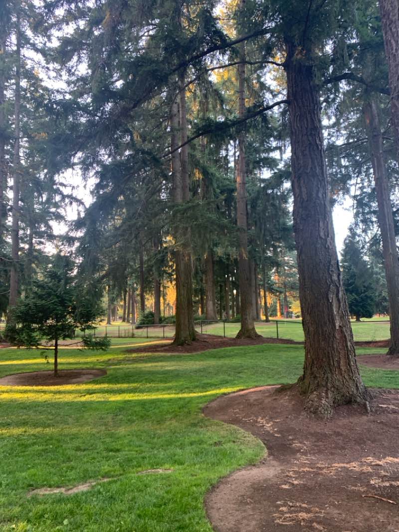 walking near me in Crossroads Park in summer