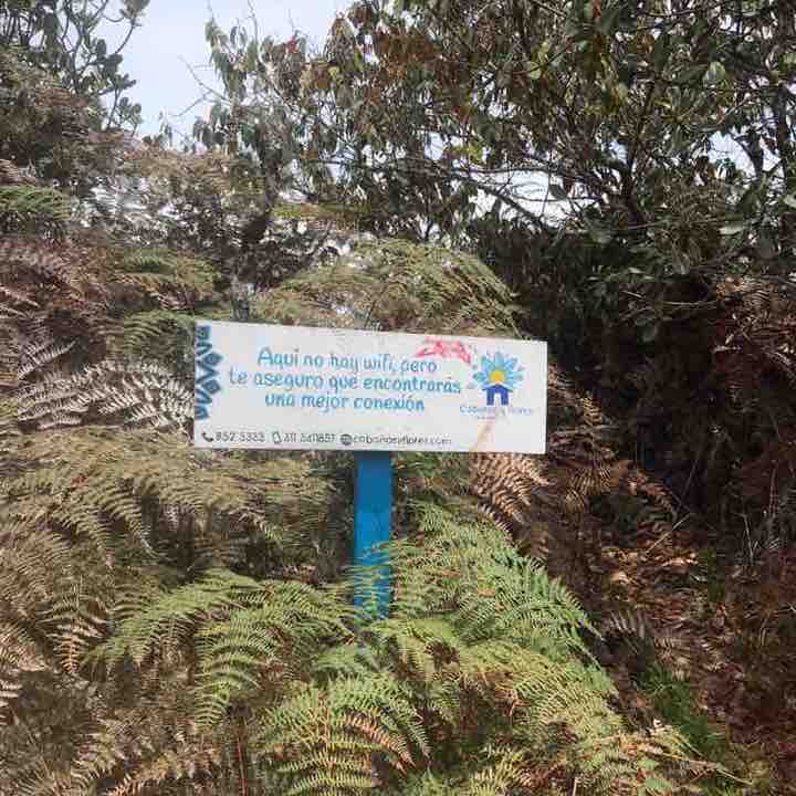 Felipe Vasquez post 3