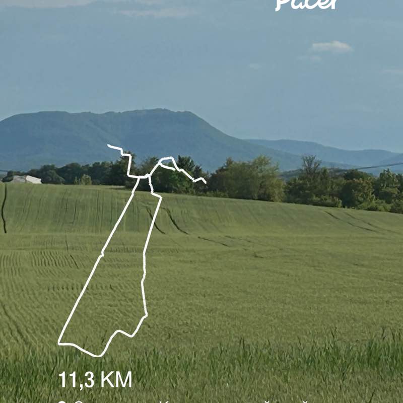 Анастасия post 1