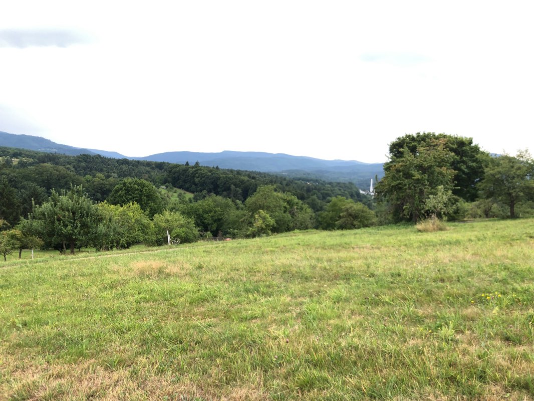 walking near me in Stadtpark in autumn