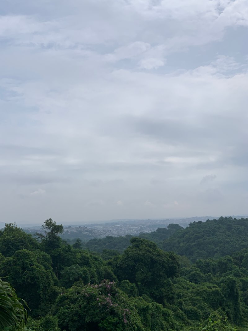 walking near me in Parque Los Ceibos in summer