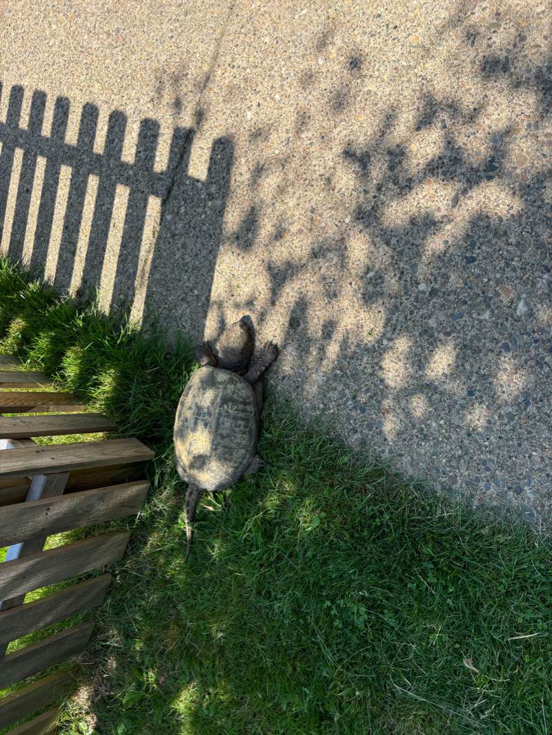 walking near me in Ardsley Park in winter