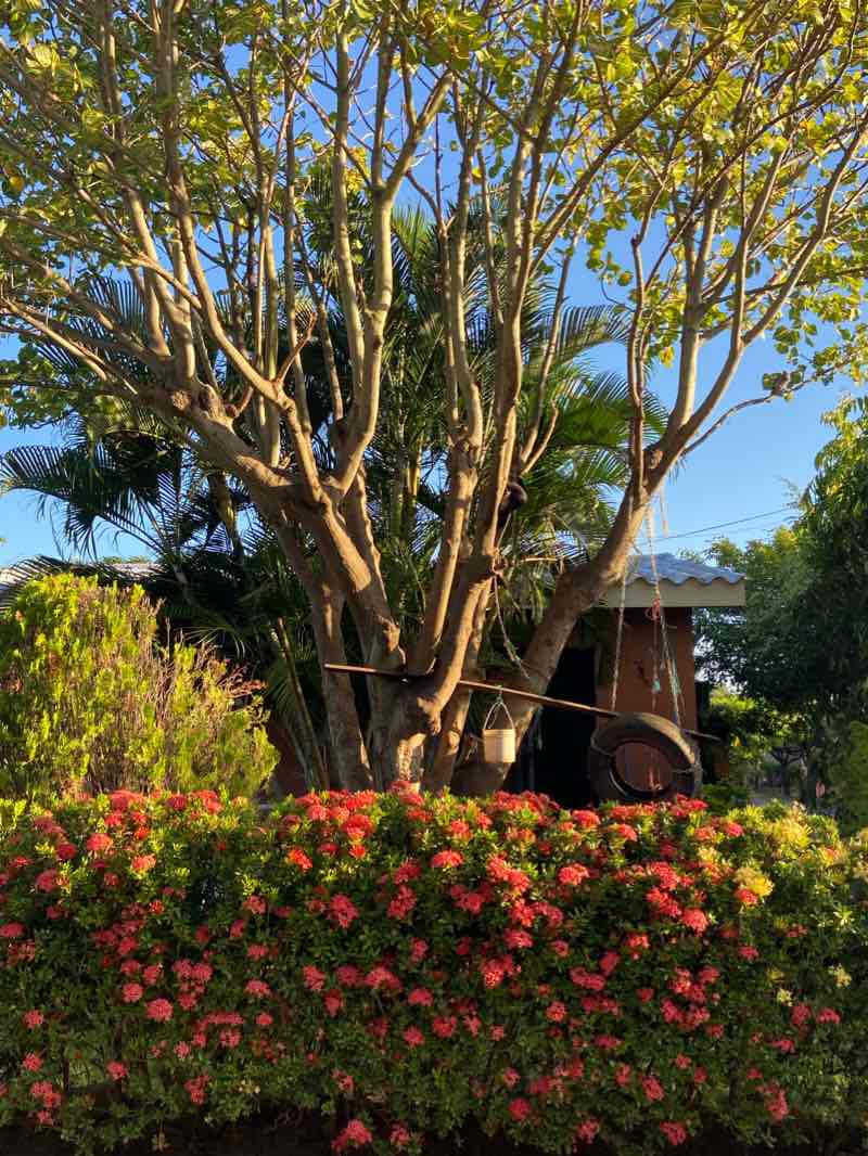 walking near me in Parque Ciudad Real in winter