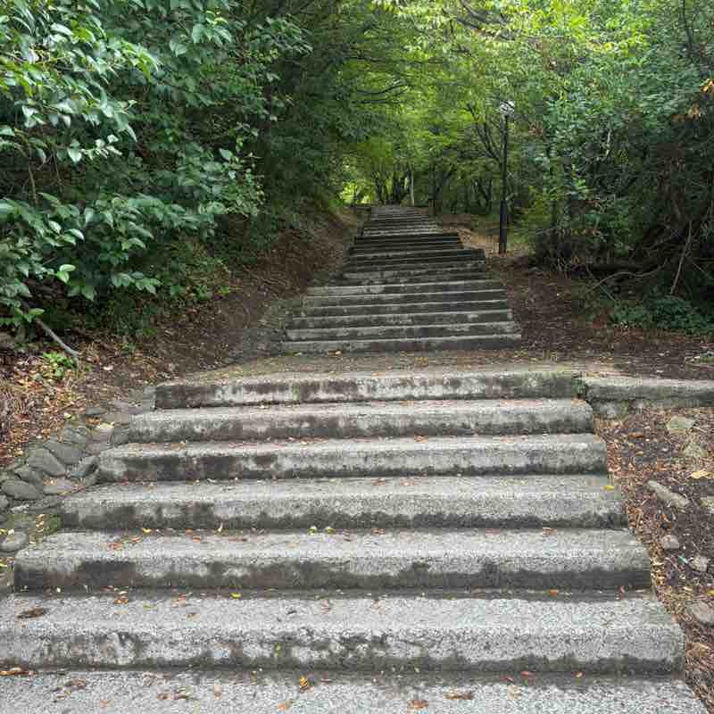 Маленькие зеброчки Irina post image