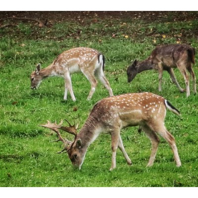 Benoît-Jacques post 1
