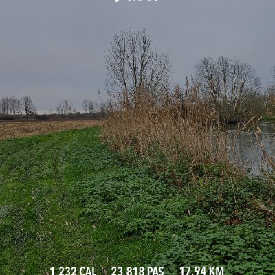 Benoît-Jacques post 1