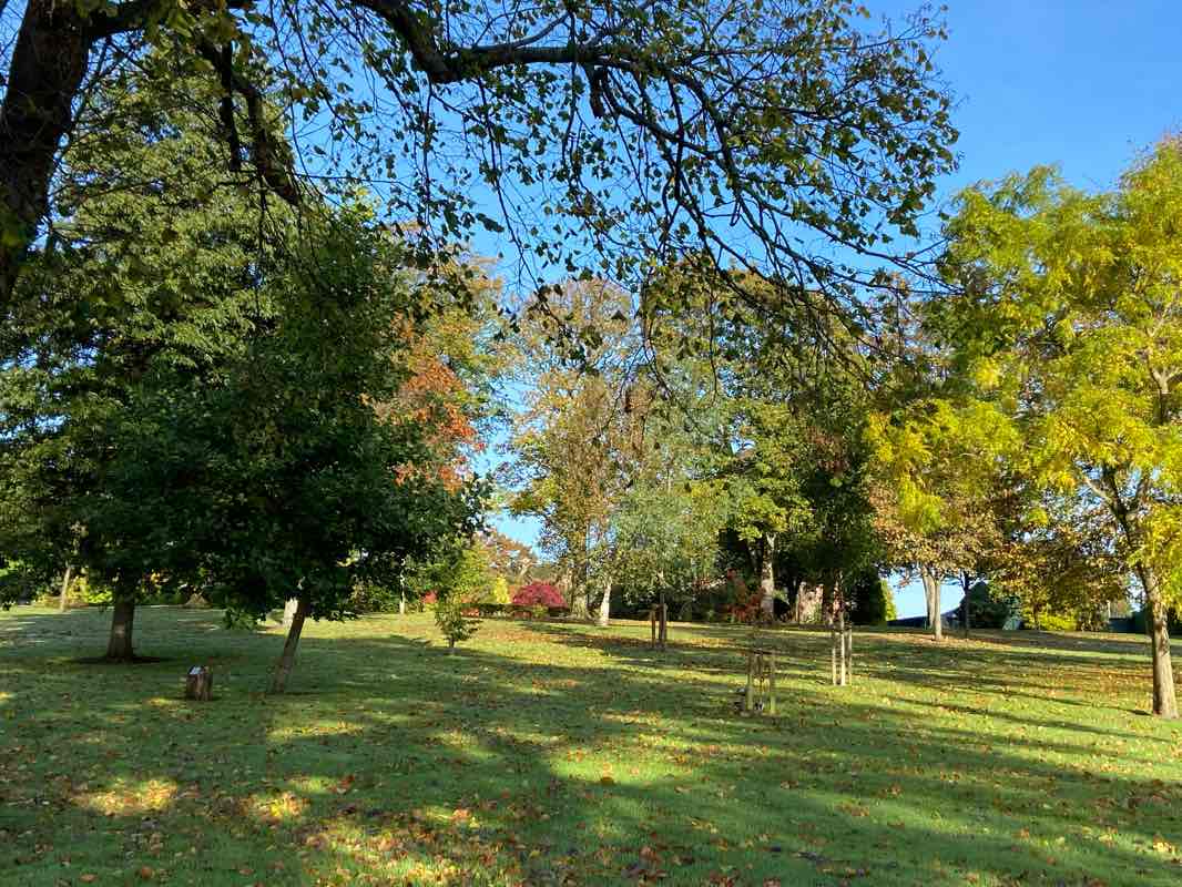 walking near me in Levengrove Park in winter