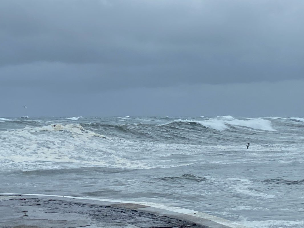walking near me in Station Park in winter