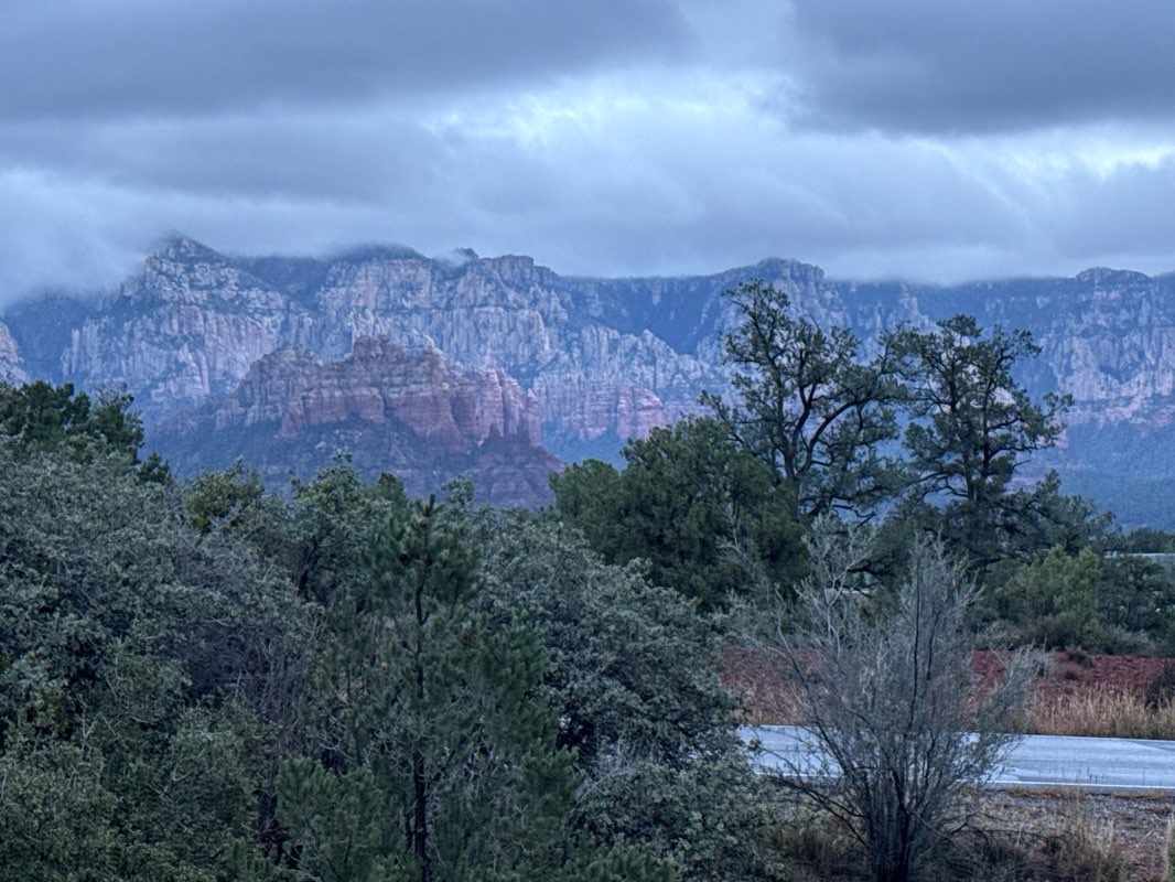 walking near me in Posse Grounds Park in winter