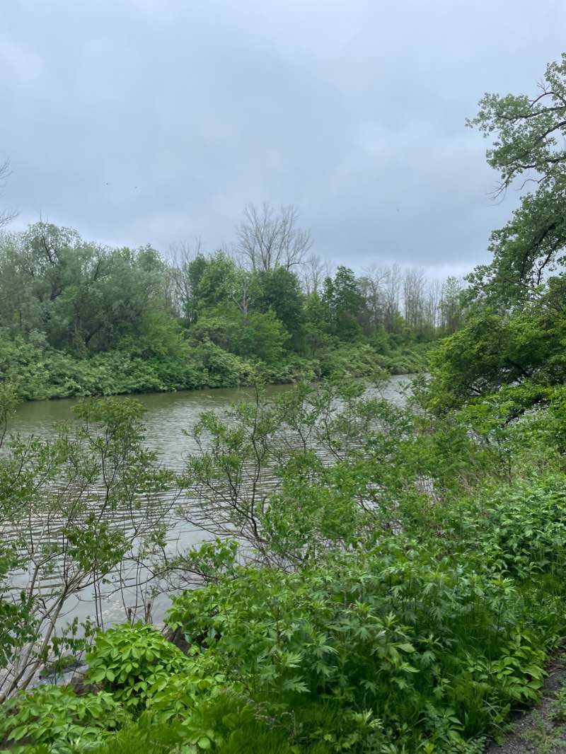 walking near me in Lock 32 State Canal Park in winter