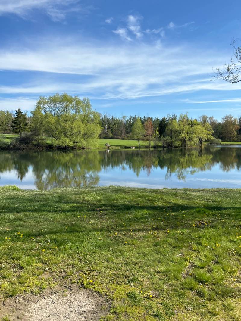 walking near me in Black Creek Park in winter