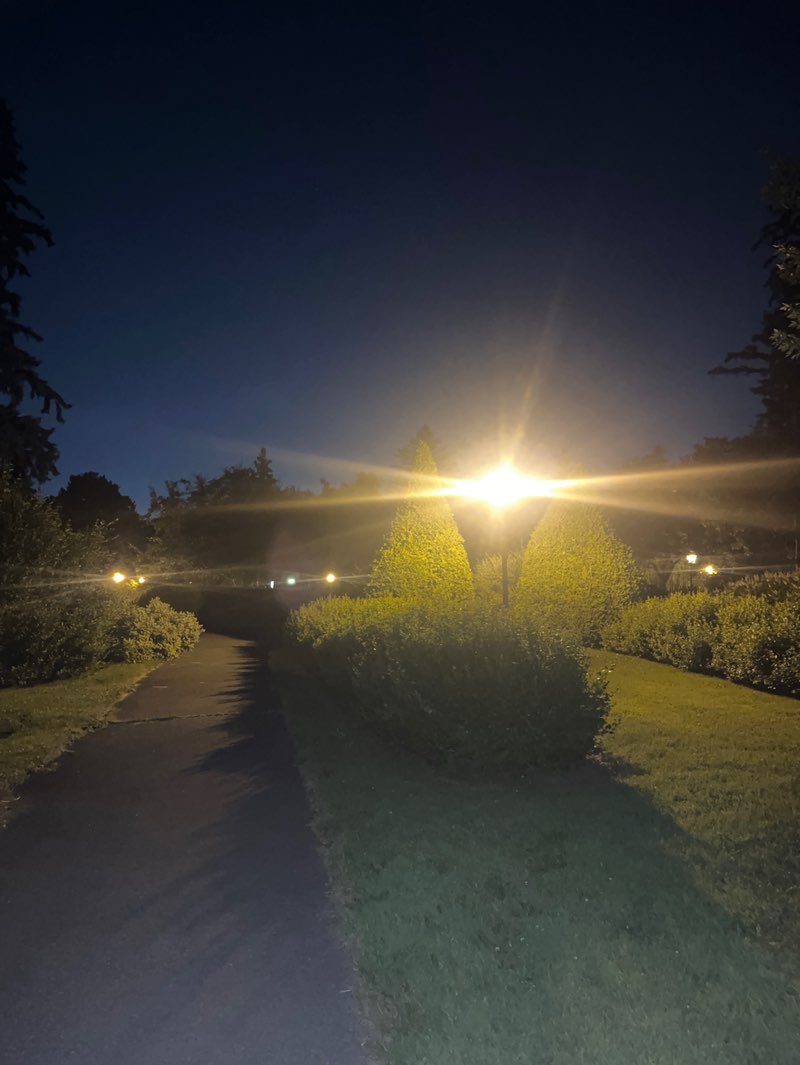 walking near me in Parc Isabel-Schofield in summer