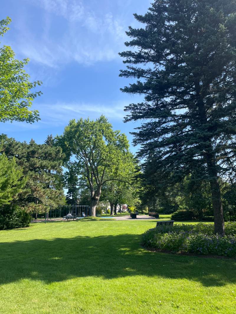 walking near me in Parc Gundy in summer