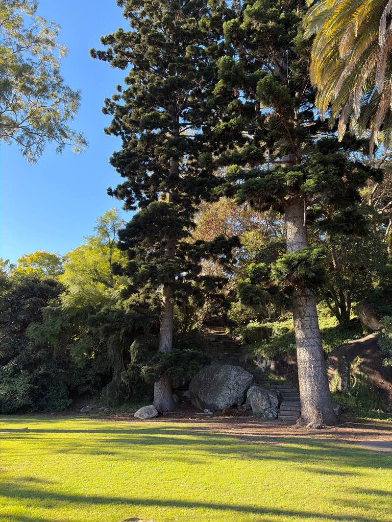walking near me in McKell Park in winter