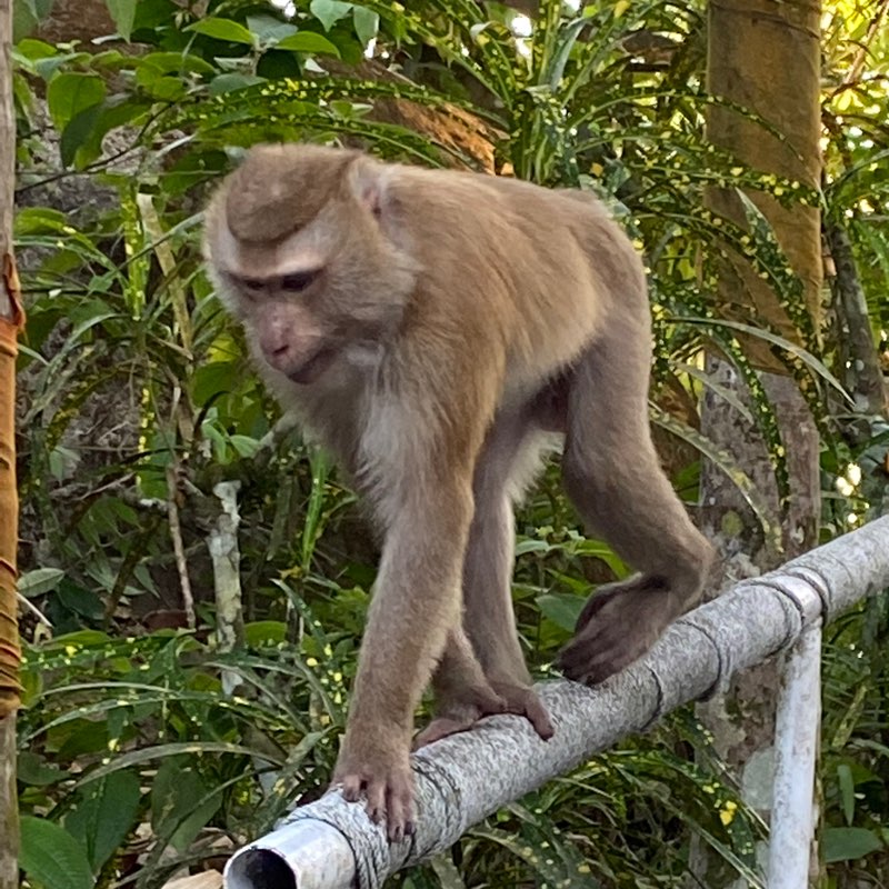Елизавета Агапитова