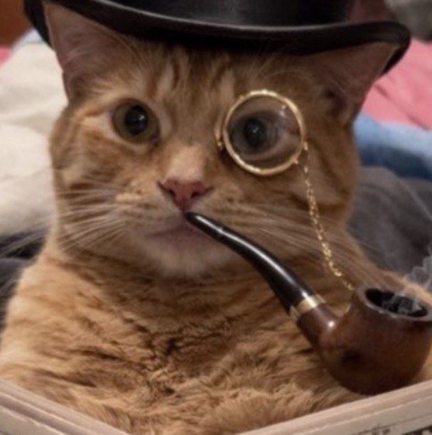 The Kiwi Express TKE🇳🇿🇳🇿🇳🇿