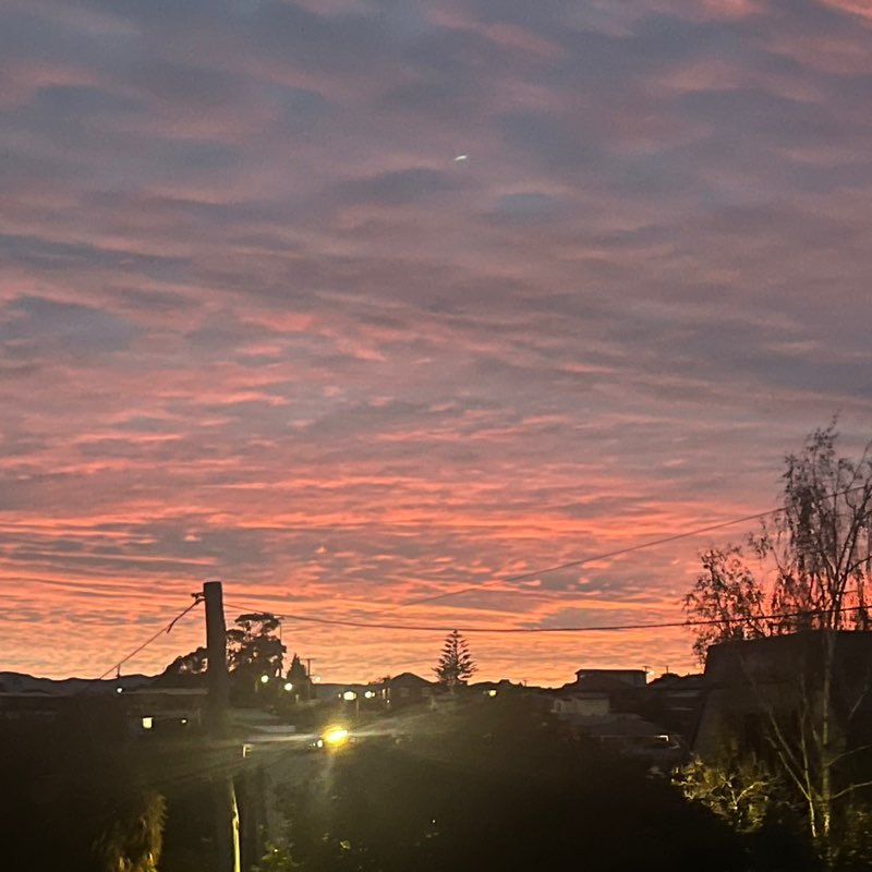 The Kiwi Express TKE🇳🇿🇳🇿🇳🇿