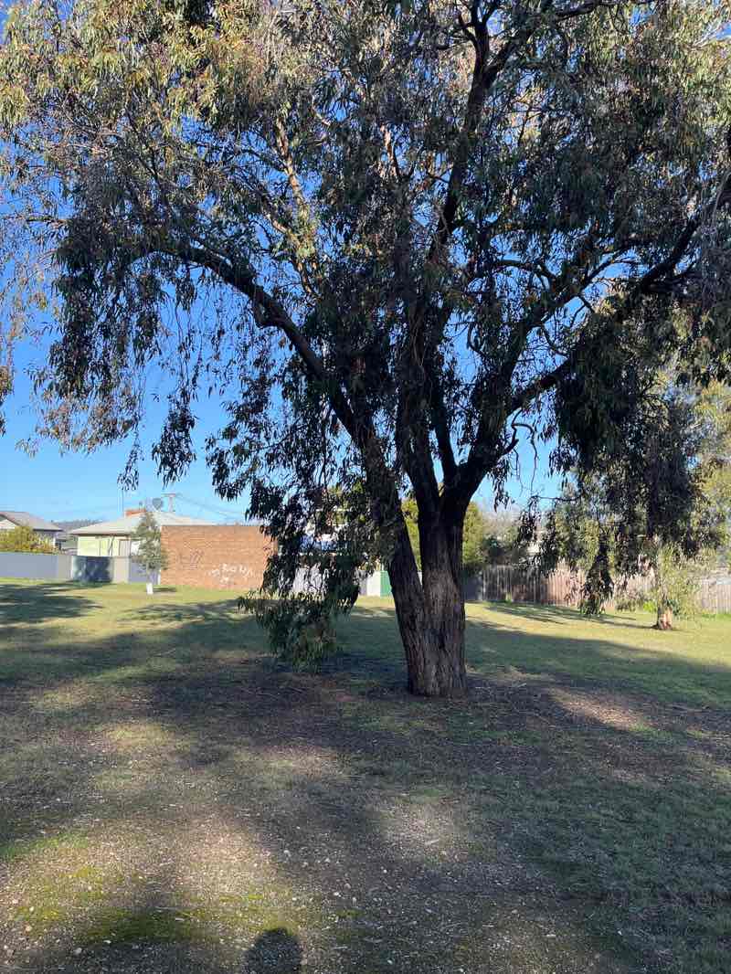 walking near me in Warwick Place Park in spring