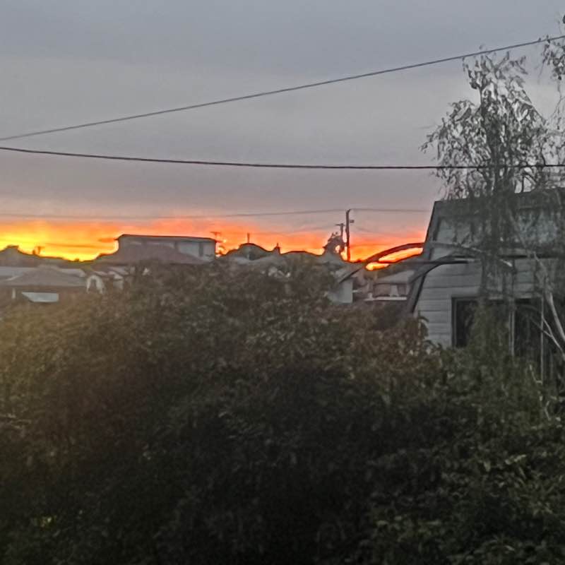 The Kiwi Express TKE🇳🇿🇳🇿🇳🇿 post 2