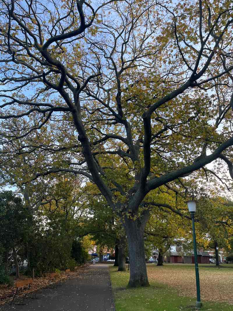 walking near me in Princes Square in winter
