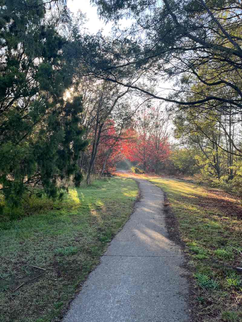 walking near me in Machens Reserve in winter