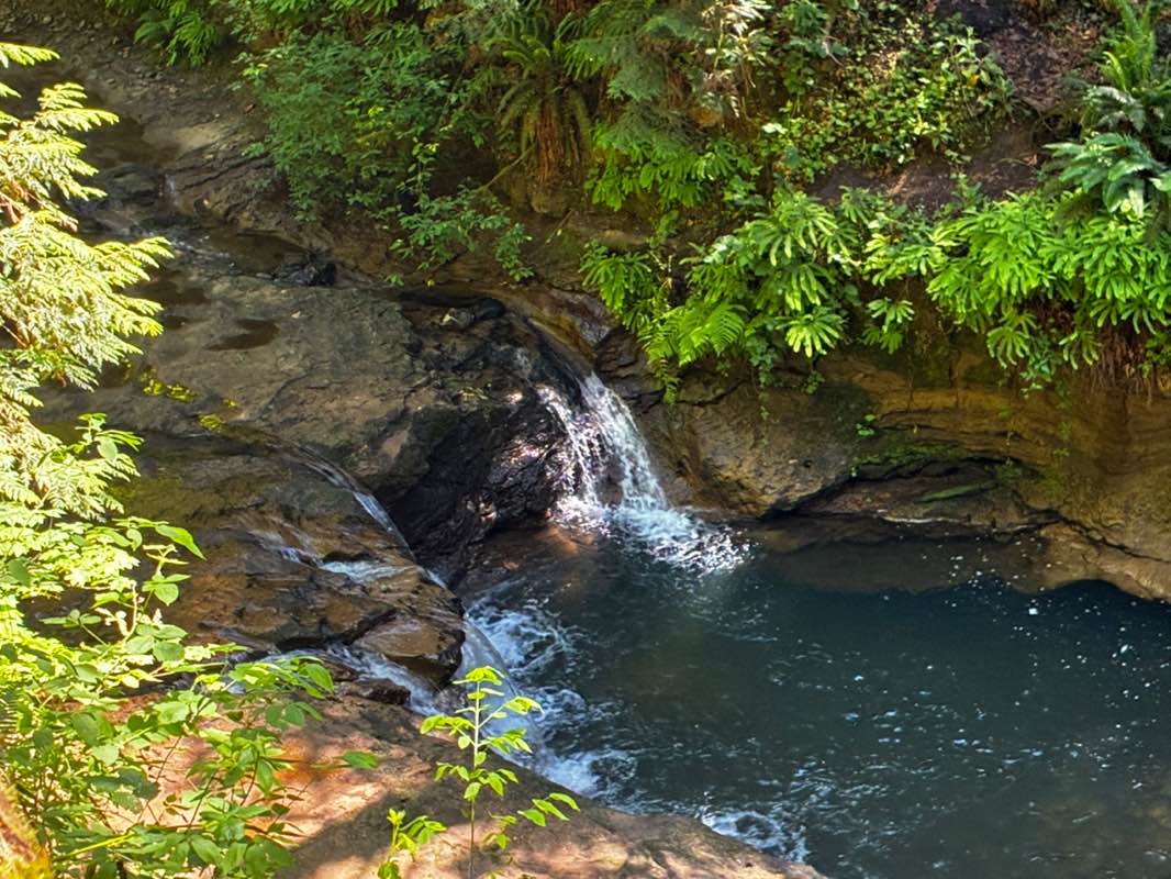 walking near me in Hidden Falls Nature Park in summer
