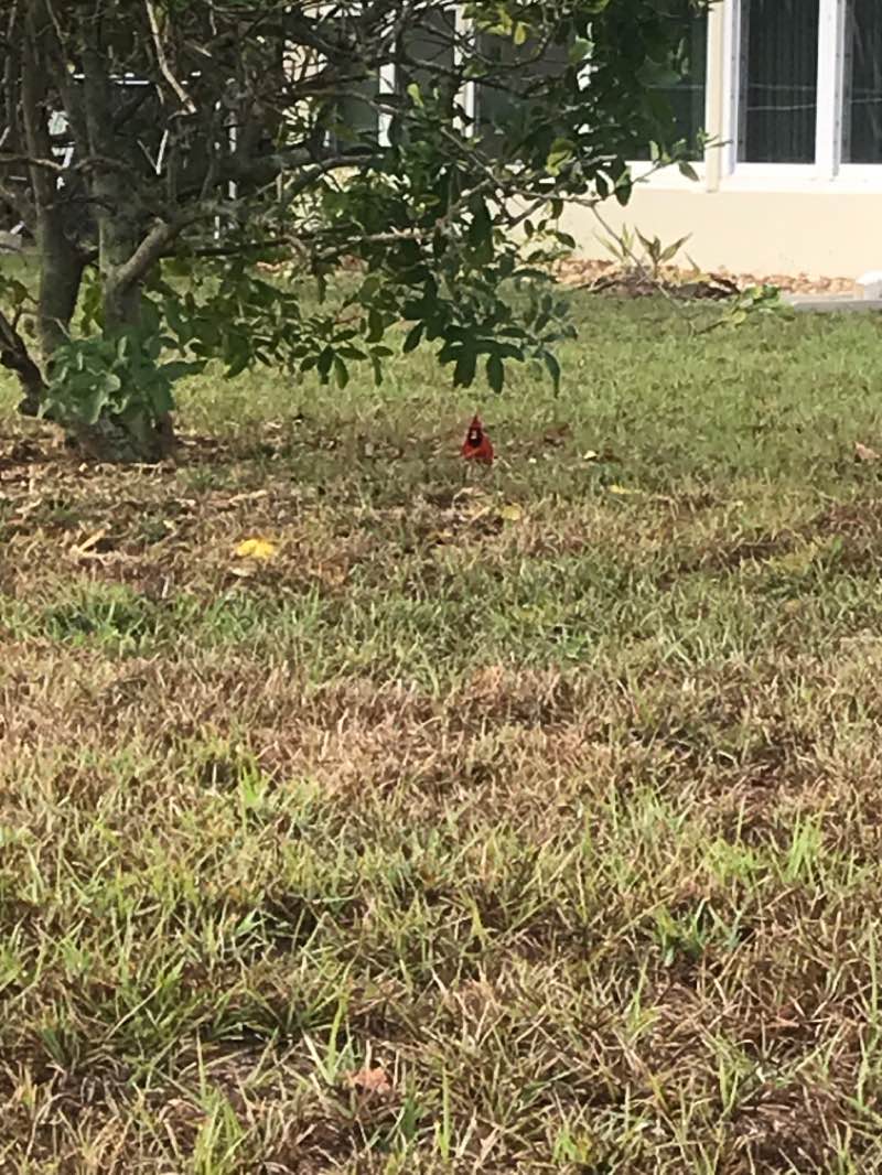 walking near me in McMullen Tennis Complex in winter
