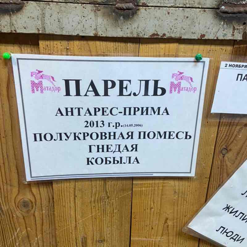 ❤️‍🔥Светлана✨🍭 post 3