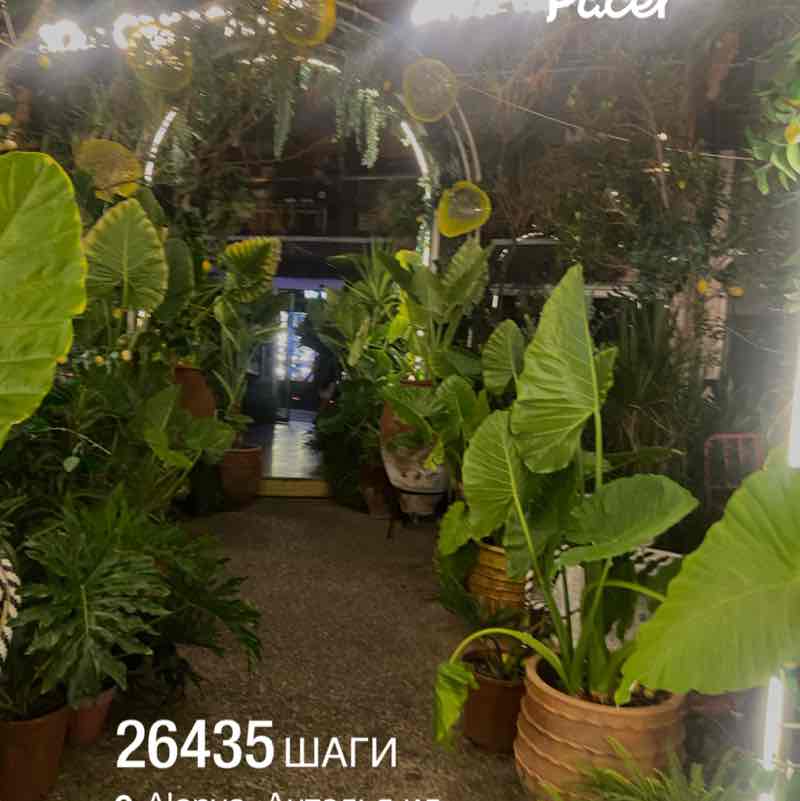 ❤️‍🔥Светлана✨🍭 post 1