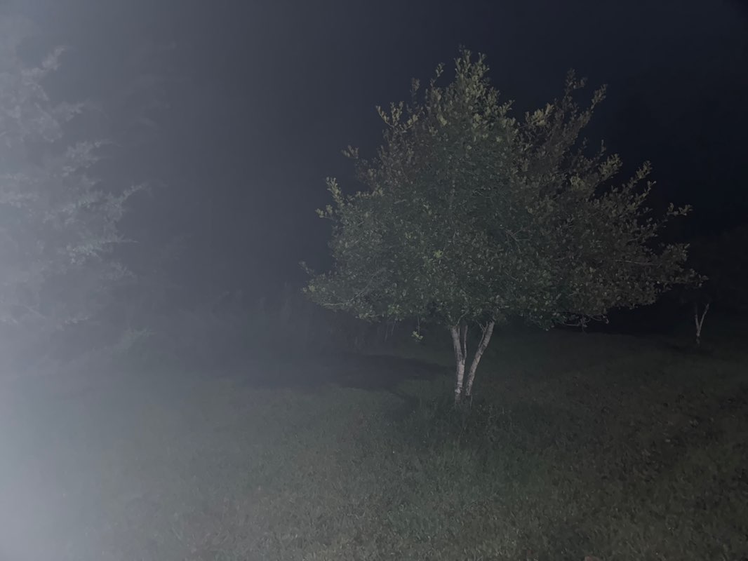 walking near me in Silver Lake Regional Park in autumn