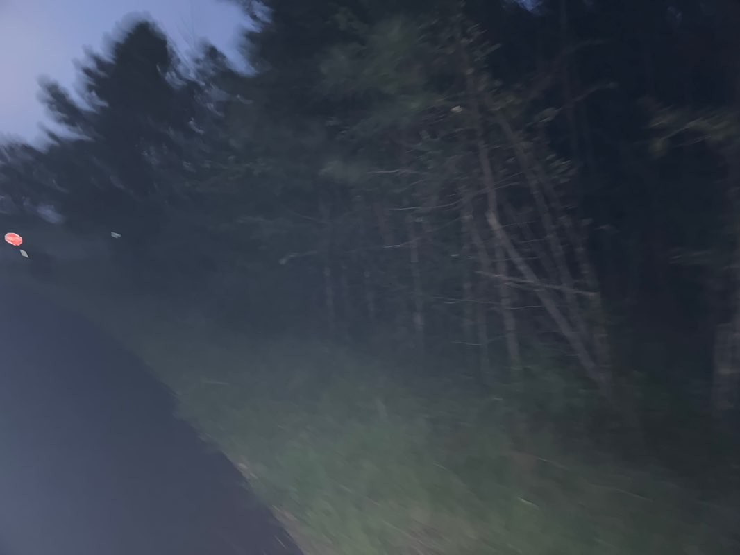 walking near me in Reservoir Overlook in autumn