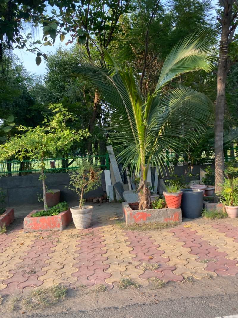 walking near me in Sector 108 Noida Central Park in summer