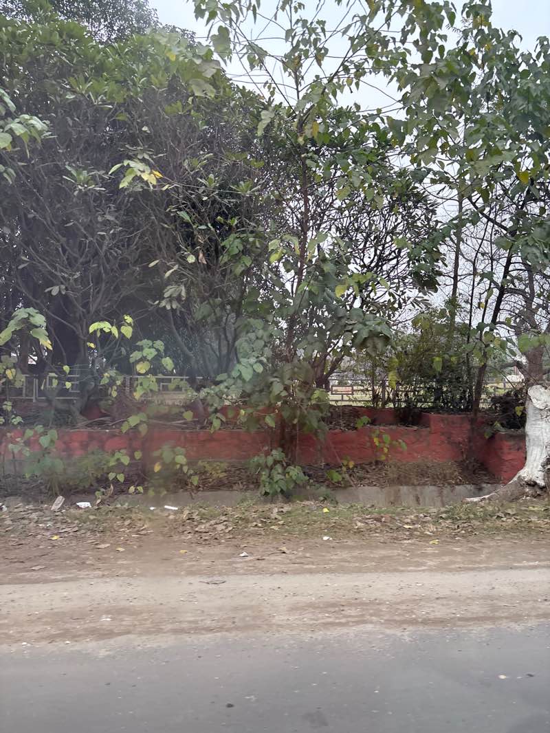 walking near me in Panj Pyaare Park in winter