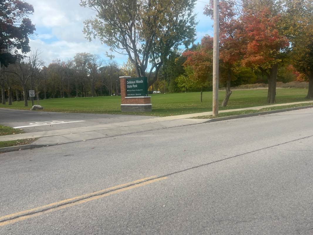 walking near me in De Veaux Woods State Park in autumn