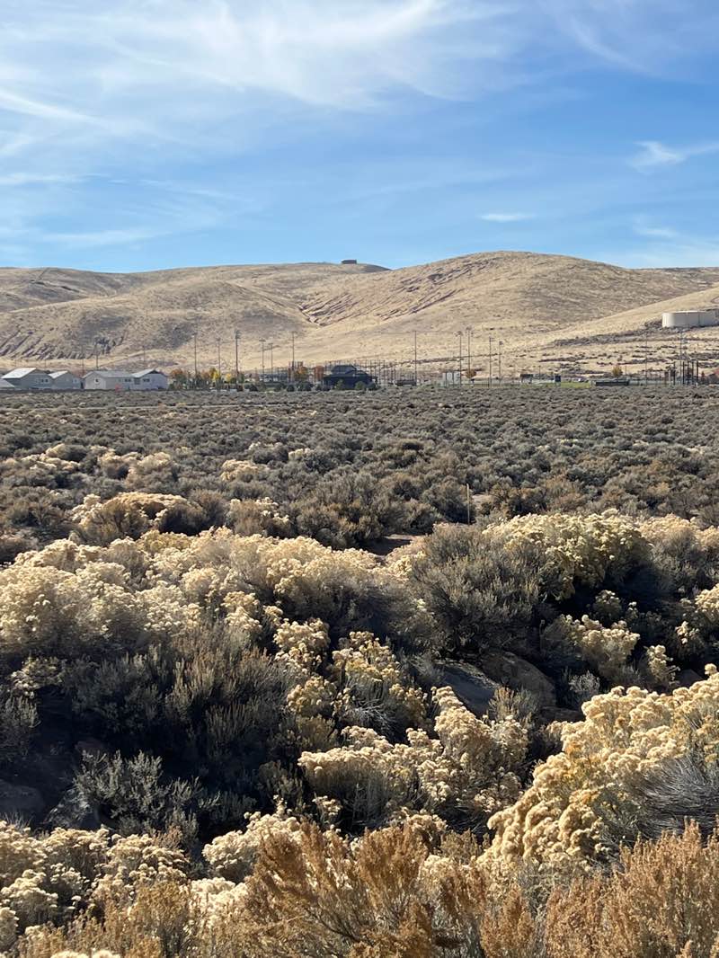 walking near me in Golden Eagle Regional Park in autumn