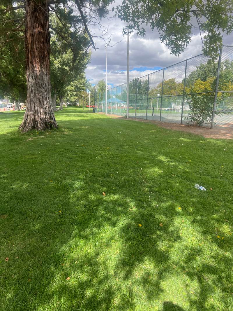 walking near me in Longford Park in autumn